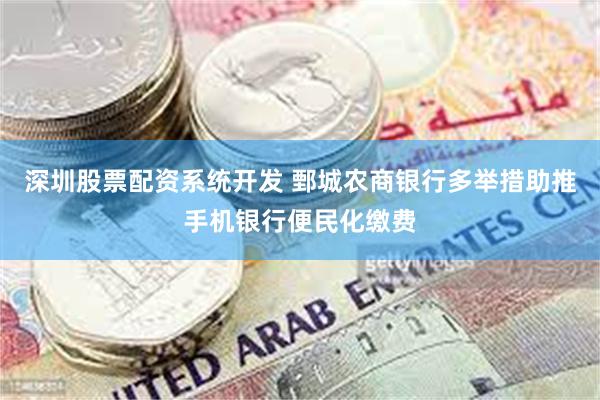 深圳股票配资系统开发 鄄城农商银行多举措助推手机银行便民化缴费