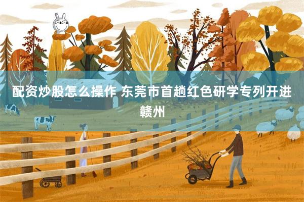 配资炒股怎么操作 东莞市首趟红色研学专列开进赣州