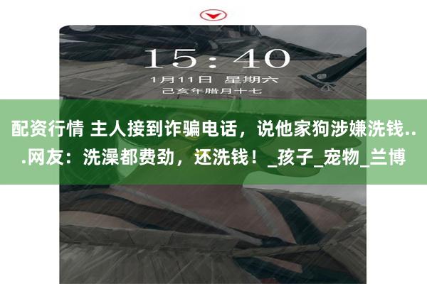 配资行情 主人接到诈骗电话，说他家狗涉嫌洗钱...网友：洗澡都费劲，还洗钱！_孩子_宠物_兰博