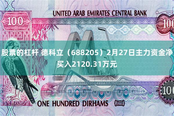 股票的杠杆 德科立（688205）2月27日主力资金净买入2120.31万元