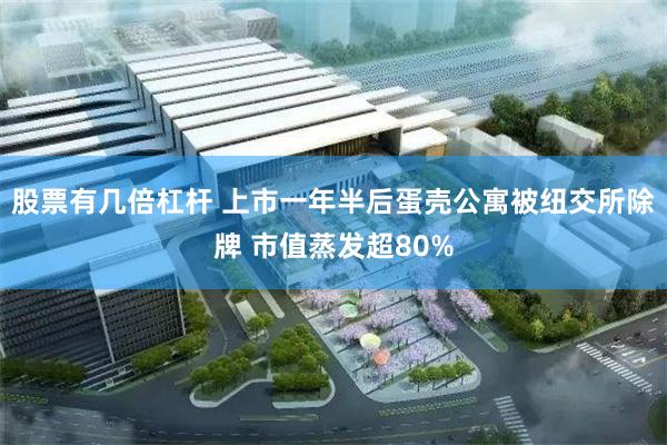股票有几倍杠杆 上市一年半后蛋壳公寓被纽交所除牌 市值蒸发超80%
