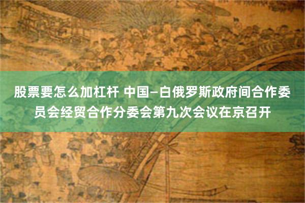 股票要怎么加杠杆 中国—白俄罗斯政府间合作委员会经贸合作分委会第九次会议在京召开