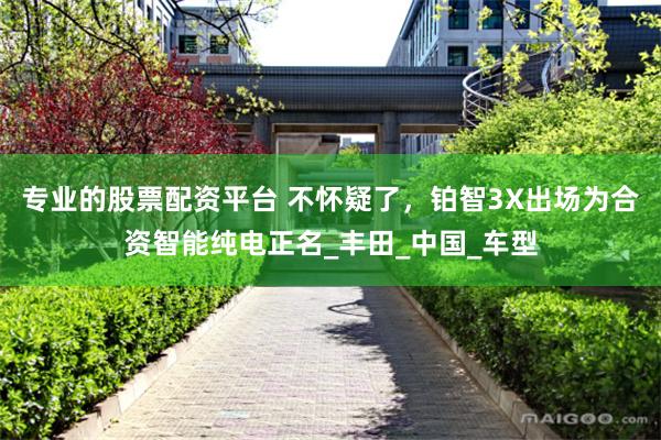 专业的股票配资平台 不怀疑了，铂智3X出场为合资智能纯电正名_丰田_中国_车型
