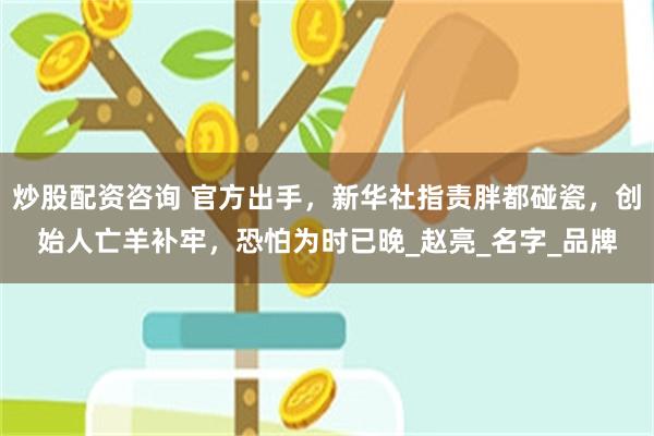 炒股配资咨询 官方出手，新华社指责胖都碰瓷，创始人亡羊补牢，恐怕为时已晚_赵亮_名字_品牌
