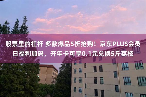 股票里的杠杆 多款爆品5折抢购！京东PLUS会员日福利加码，开年卡可享0.1元兑换5斤荔枝
