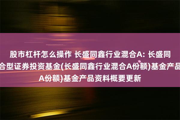 股市杠杆怎么操作 长盛同鑫行业混合A: 长盛同鑫行业配置混合型证券投资基金(长盛同鑫行业混合A份额)基金产品资料概要更新