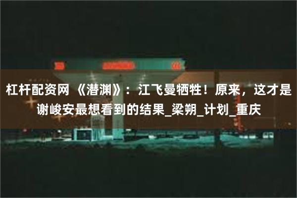 杠杆配资网 《潜渊》：江飞曼牺牲！原来，这才是谢峻安最想看到的结果_梁朔_计划_重庆