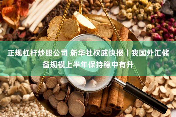 正规杠杆炒股公司 新华社权威快报丨我国外汇储备规模上半年保持稳中有升