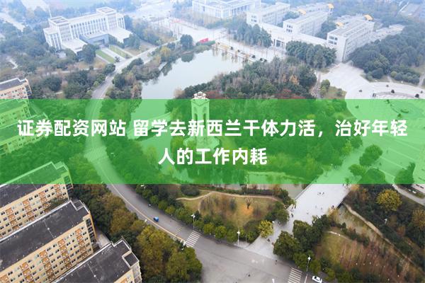 证券配资网站 留学去新西兰干体力活，治好年轻人的工作内耗