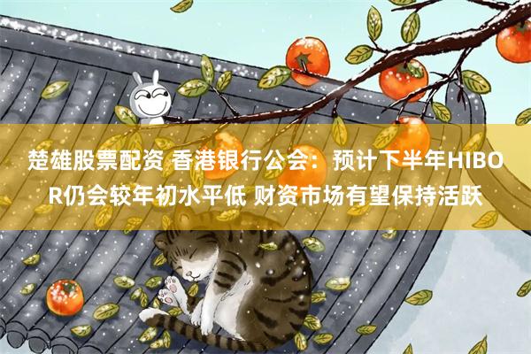 楚雄股票配资 香港银行公会：预计下半年HIBOR仍会较年初水平低 财资市场有望保持活跃