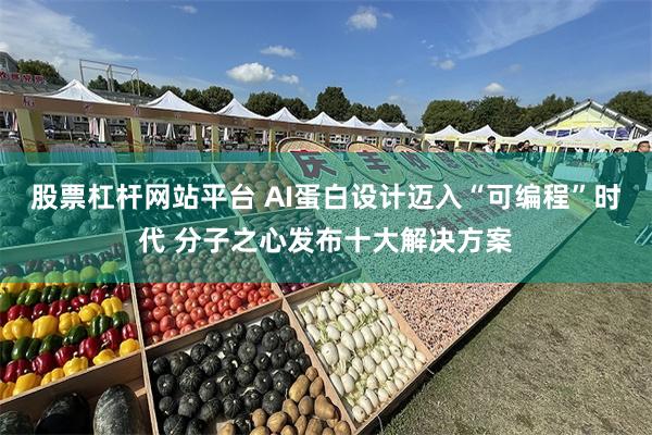 股票杠杆网站平台 AI蛋白设计迈入“可编程”时代 分子之心发布十大解决方案