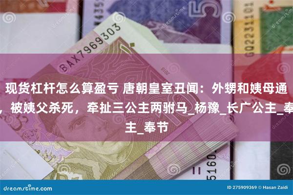现货杠杆怎么算盈亏 唐朝皇室丑闻：外甥和姨母通奸，被姨父杀死，牵扯三公主两驸马_杨豫_长广公主_奉节
