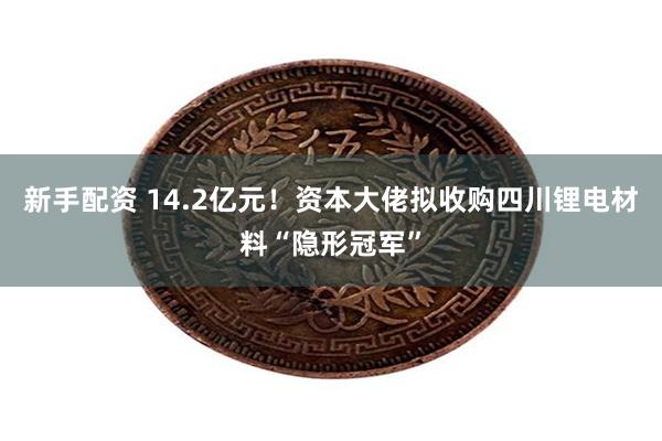 新手配资 14.2亿元！资本大佬拟收购四川锂电材料“隐形冠军”