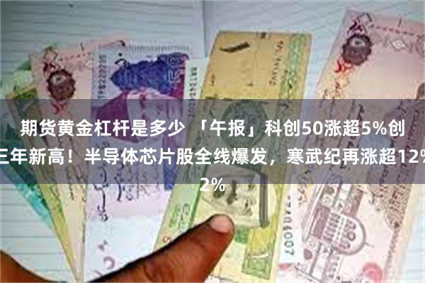 期货黄金杠杆是多少 「午报」科创50涨超5%创三年新高！半导体芯片股全线爆发，寒武纪再涨超12%