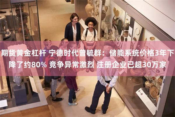 期货黄金杠杆 宁德时代曾毓群：储能系统价格3年下降了约80% 竞争异常激烈 注册企业已超30万家