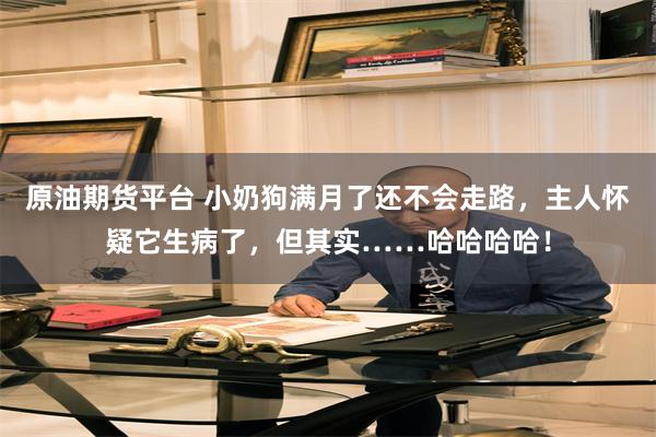 原油期货平台 小奶狗满月了还不会走路，主人怀疑它生病了，但其实……哈哈哈哈！