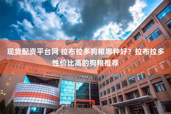 现货配资平台网 拉布拉多狗粮哪种好？拉布拉多性价比高的狗粮推荐