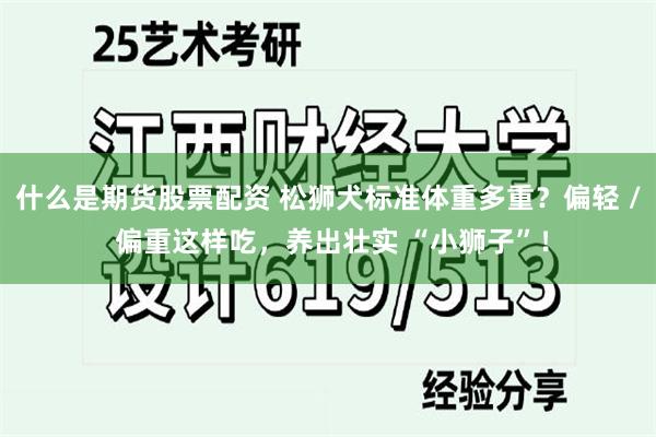 什么是期货股票配资 松狮犬标准体重多重？偏轻 / 偏重这样吃，养出壮实 “小狮子”！